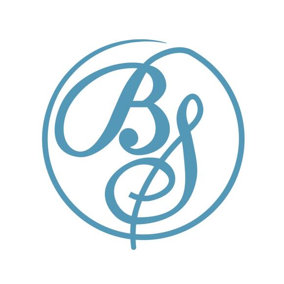 CELINE C Sulky Clutch Bag Canvas Brown - Picture 16 of 16